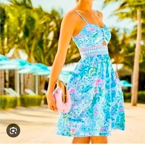 Lilly Pulitzer Kaitlyn dress what a lovely place